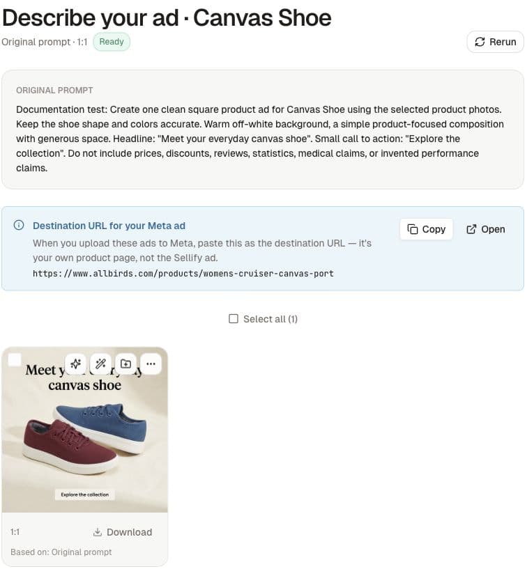A completed one-image test generation with its brief, destination URL and Download control