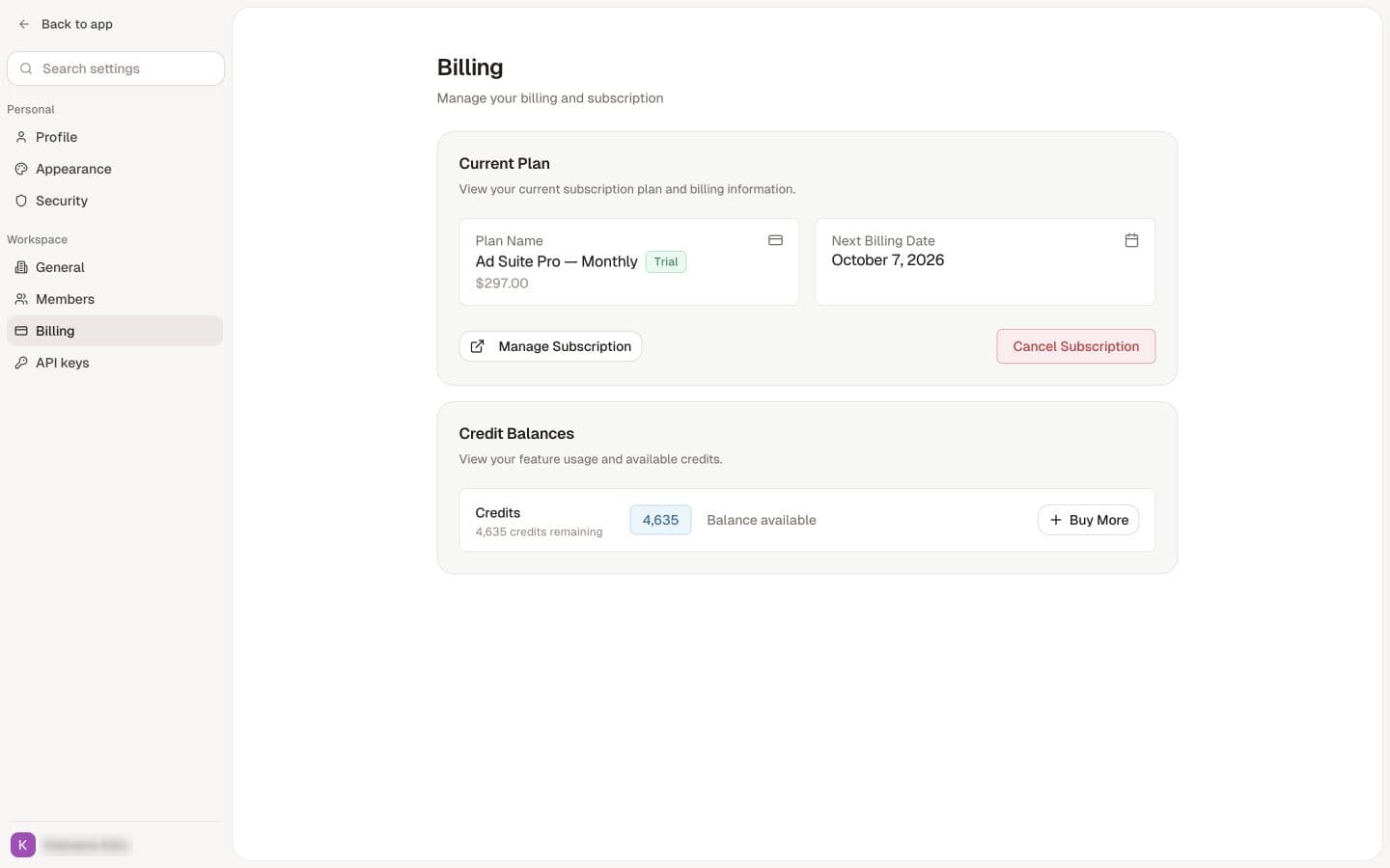Billing separates the example workspace subscription from its remaining credit balance.